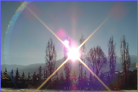 wp983411d6.png